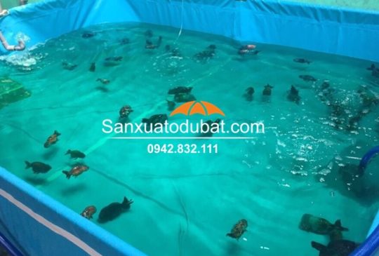 Hồ nuôi cá Koi bằng bạt